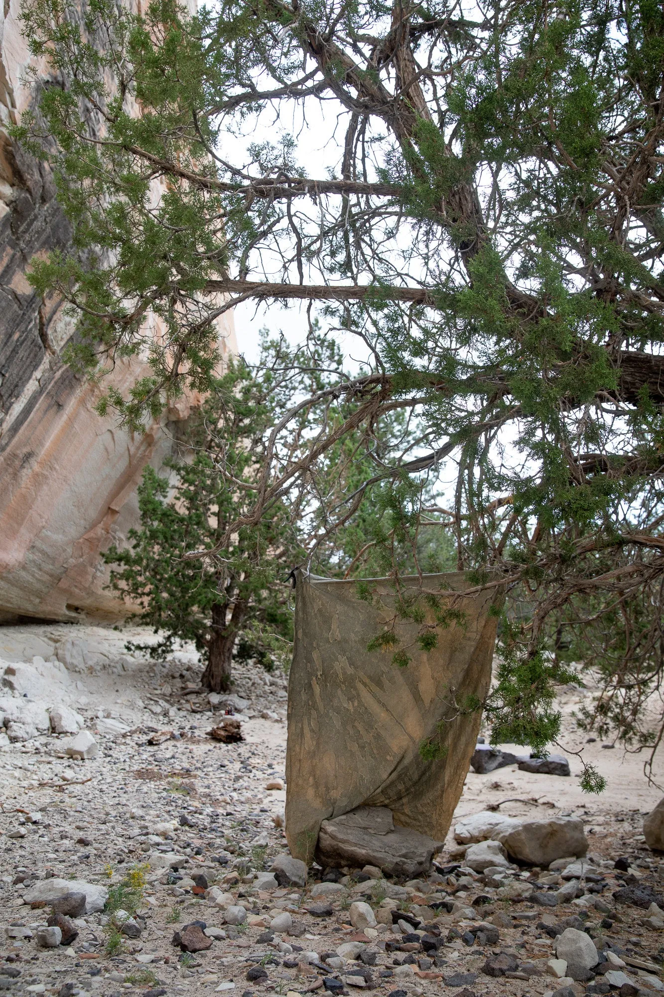 Fatigue- 5'x7' Weathered Muslin Backdrop in a Bag